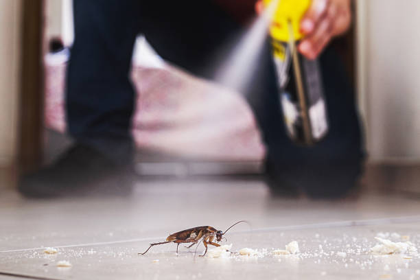 Best Commercial Pest Control Services  in Acworth, GA